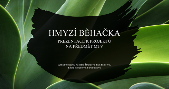 Hmyzí běhačka